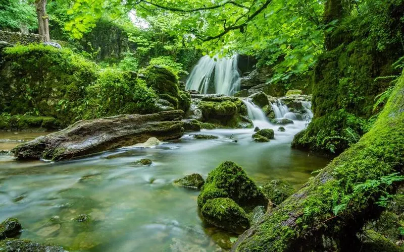 智能系统高标准